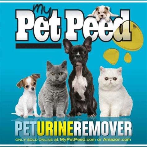 myoet|my pet peed scam.